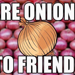Can you eat onions 🧅 on the Keto diet? Are onions keto friendly? #onion #ketodiet #shorts